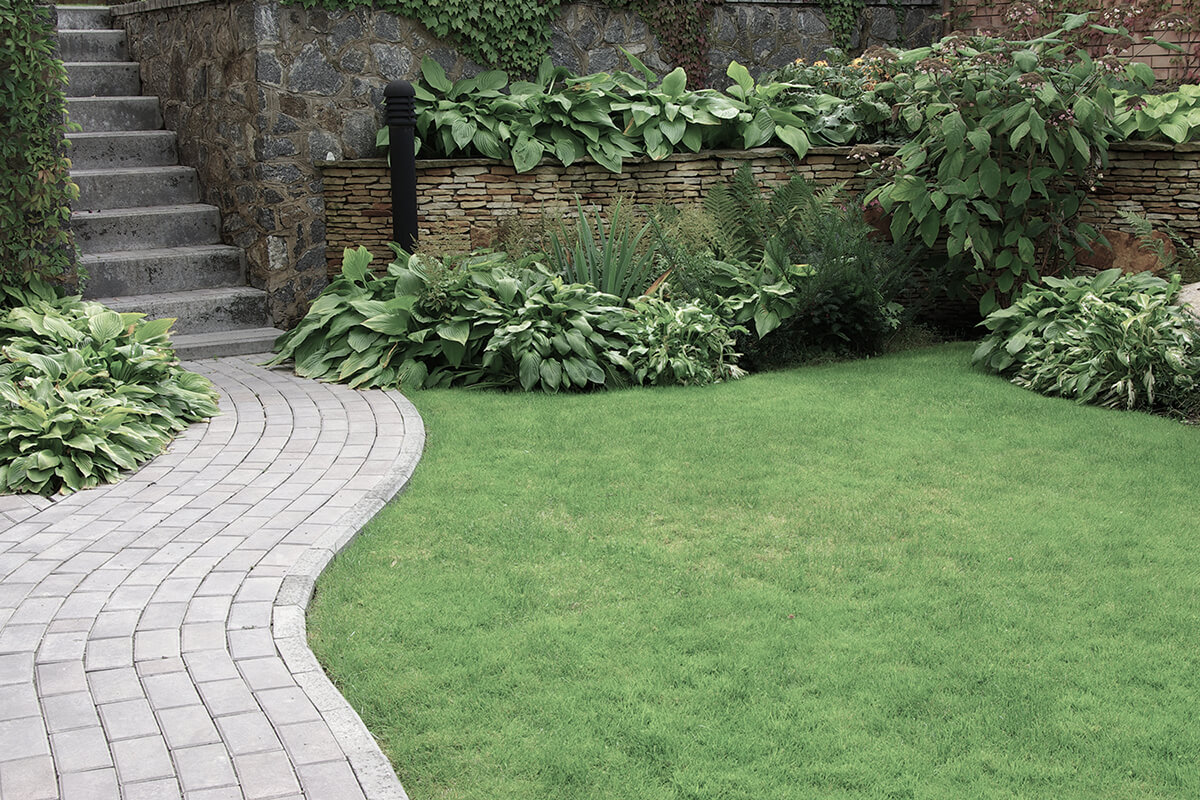 Welcome to Quality Landscaping